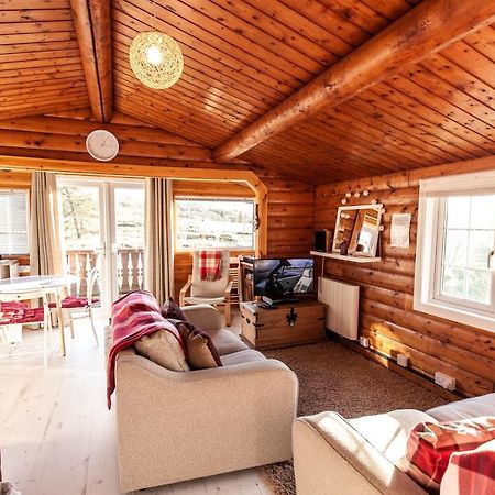 Welsh Retreat 2 Bedroom Log Cabin - Seren Property Trawsfynydd Exterior foto