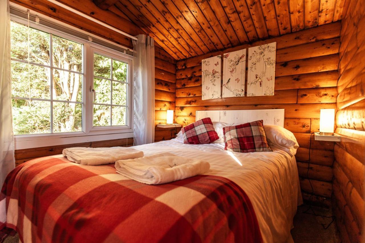 Welsh Retreat 2 Bedroom Log Cabin - Seren Property Trawsfynydd Exterior foto