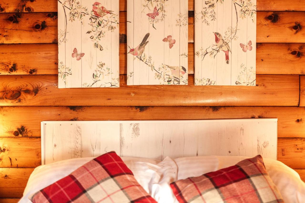 Welsh Retreat 2 Bedroom Log Cabin - Seren Property Trawsfynydd Exterior foto