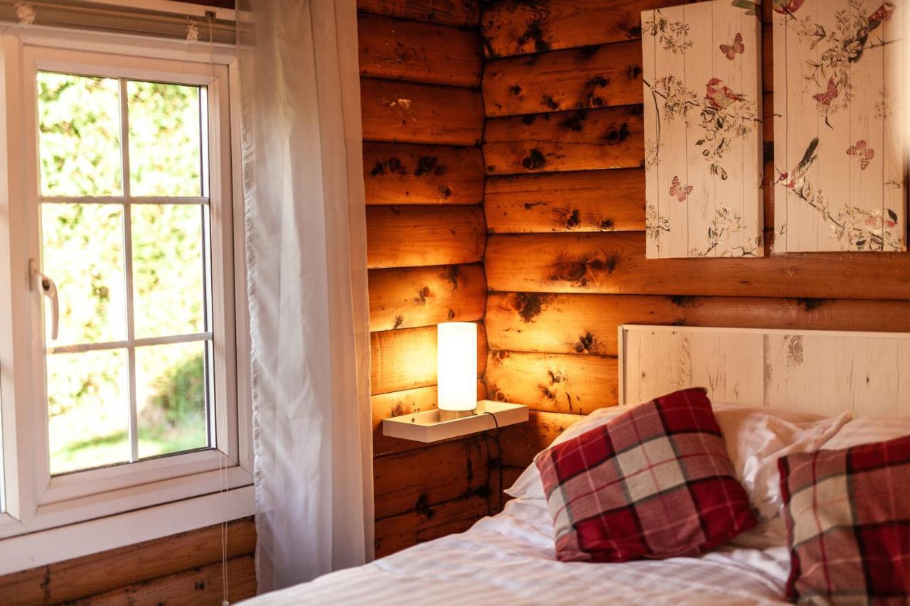 Welsh Retreat 2 Bedroom Log Cabin - Seren Property Trawsfynydd Exterior foto